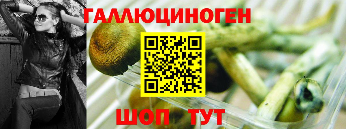 Новокуйбышевск  Галлюциногенные грибы MAGIC MUSHROOMS  купить  сайты  Вход с VPN 
