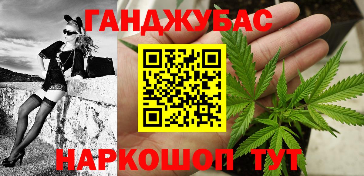 Конопля гибрид Новокуйбышевск